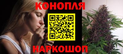 стафф Котовск