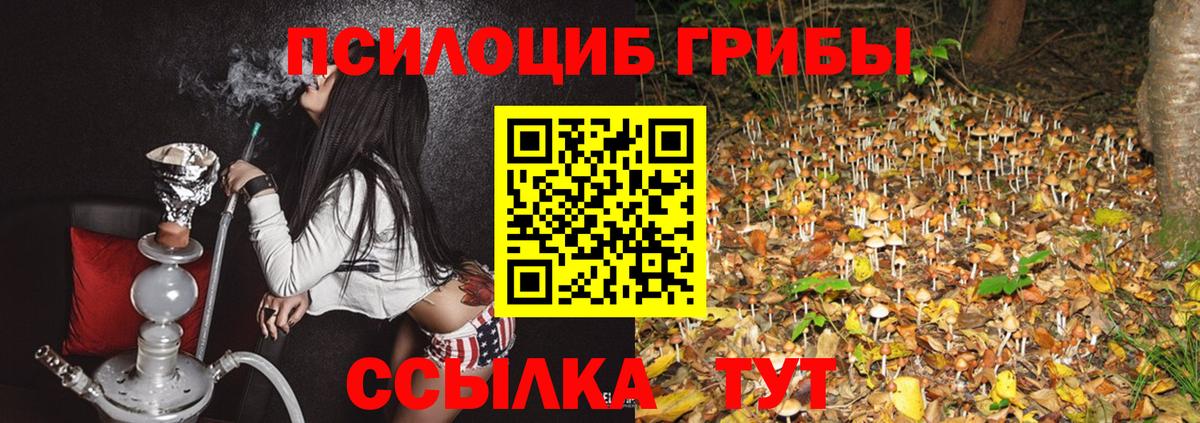 Чусовой  Псилоцибиновые грибы MAGIC MUSHROOMS  Вход с VPN 