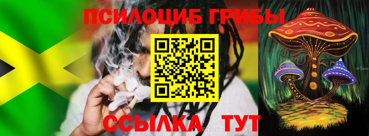 Псилоцибиновые грибы Psilocybine cubensis Чусовой